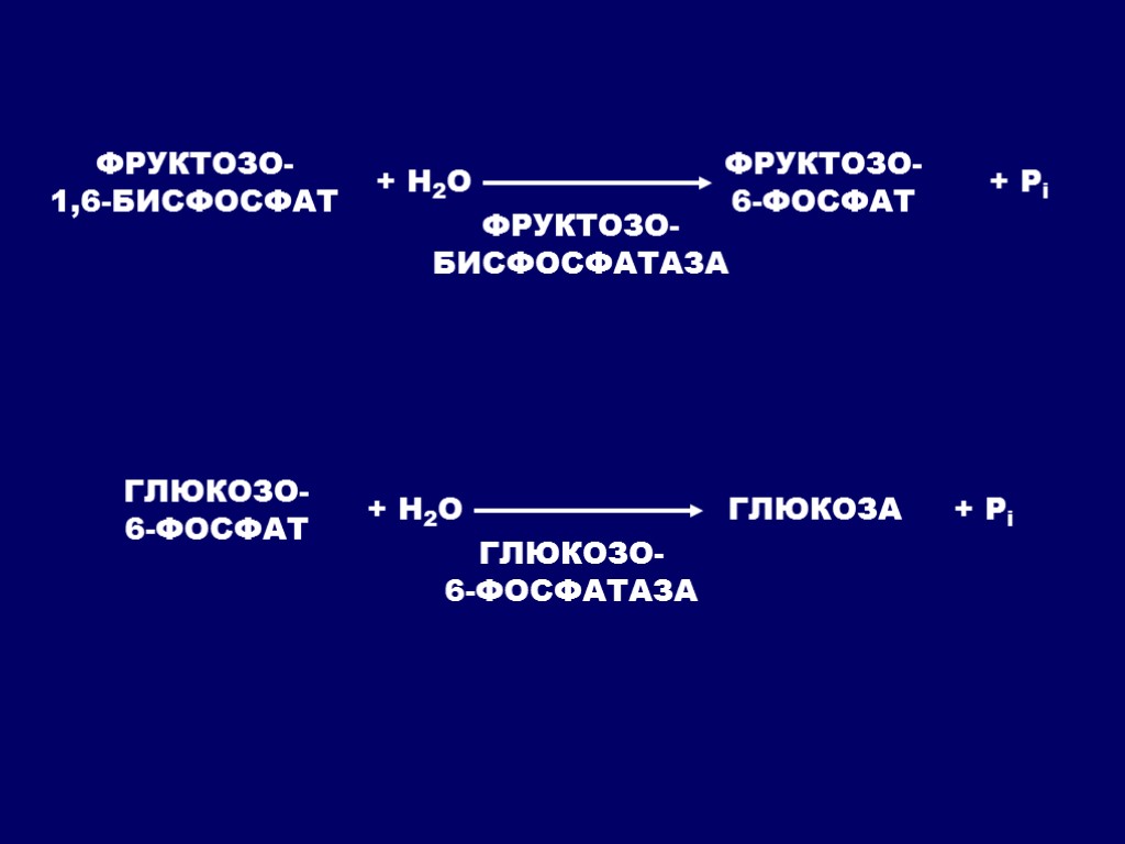 Гликогенолиз биохимия схема